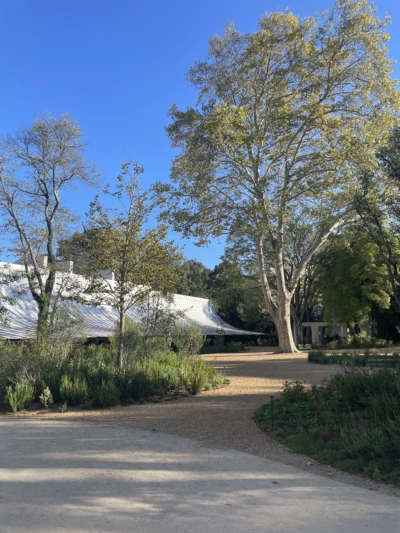 Centro de Arte Moderna Gulbenkian, Kengo Kuma 2024