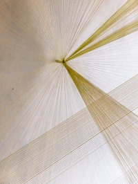 Chinatsu Shimodaira, Ether, 2015