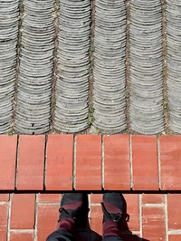 Red Brick Art Museum, Dong Yugan 2014