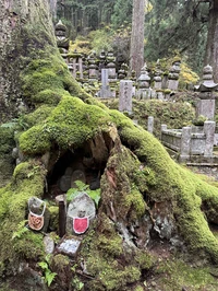 Koyasan