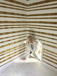 Hikusugi an, Terunobi Fujimori 2017